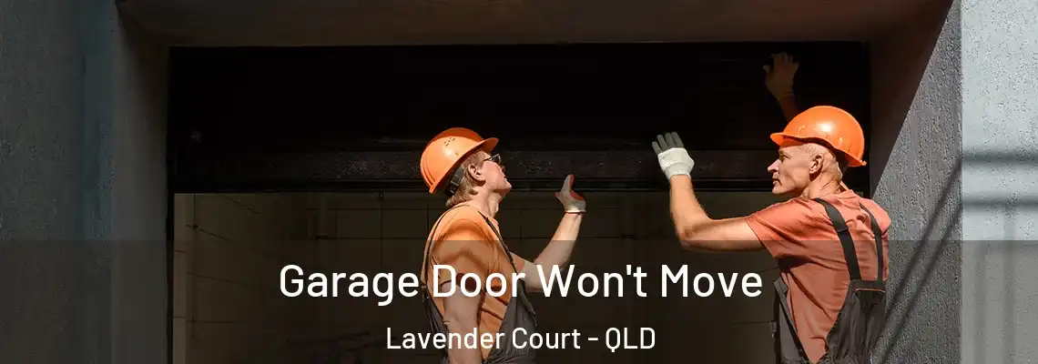 Garage Door Won't Move Lavender Court - QLD