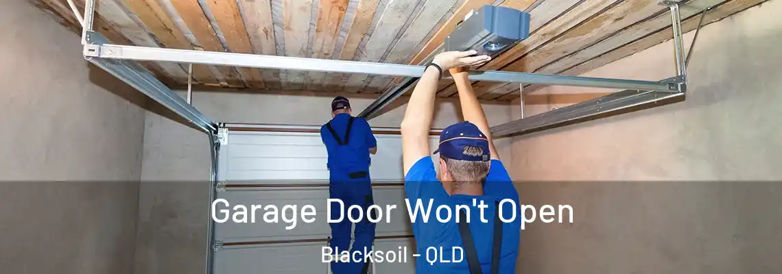  Garage Door Won't Open Blacksoil - QLD