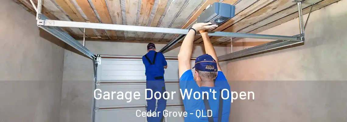 Garage Door Won't Open Cedar Grove - QLD