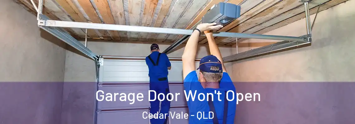 Garage Door Won't Open Cedar Vale - QLD