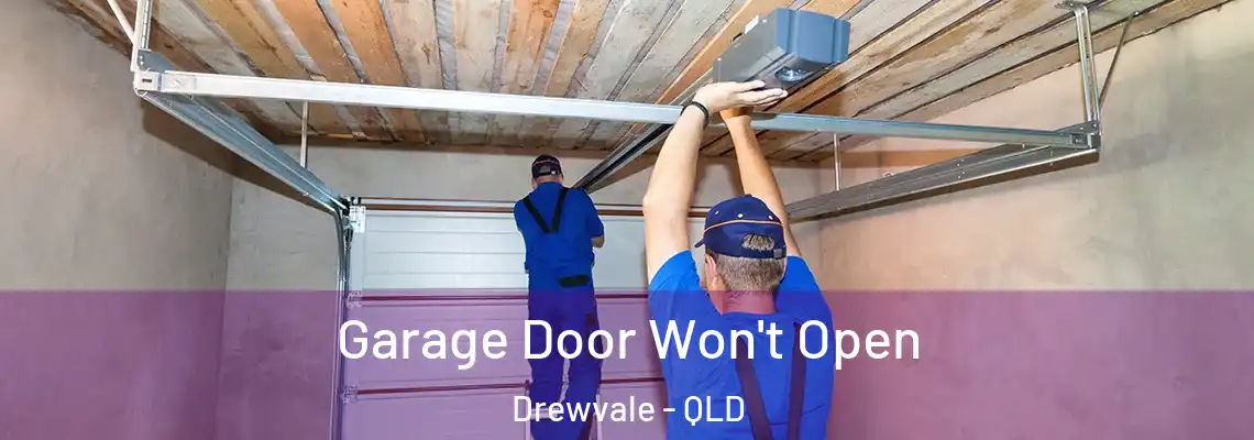 Garage Door Won't Open Drewvale - QLD