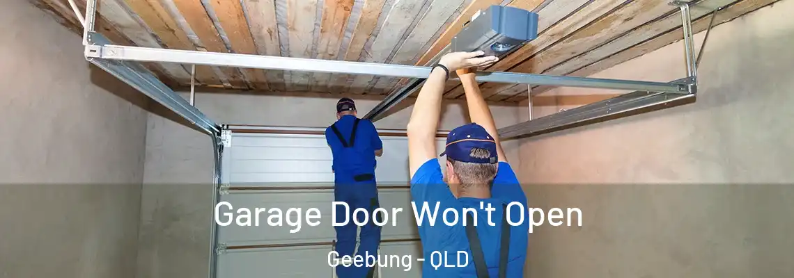 Garage Door Won't Open Geebung - QLD