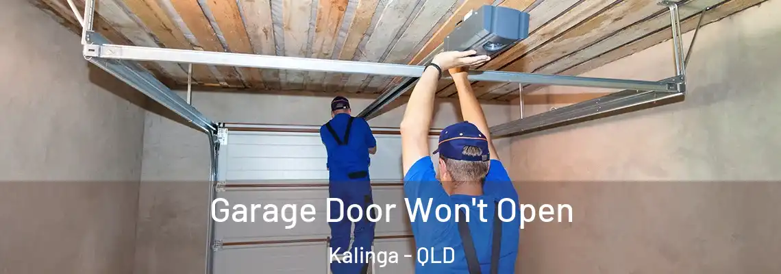  Garage Door Won't Open Kalinga - QLD