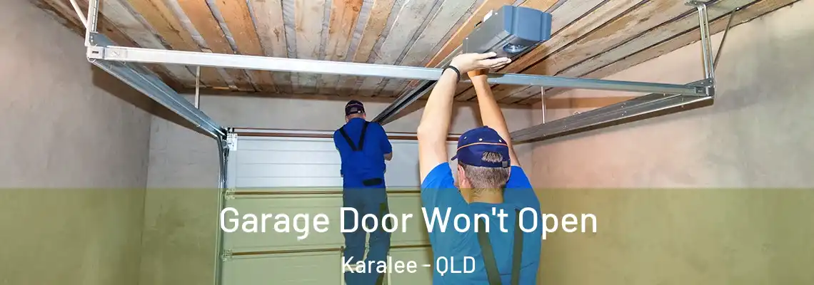 Garage Door Won't Open Karalee - QLD