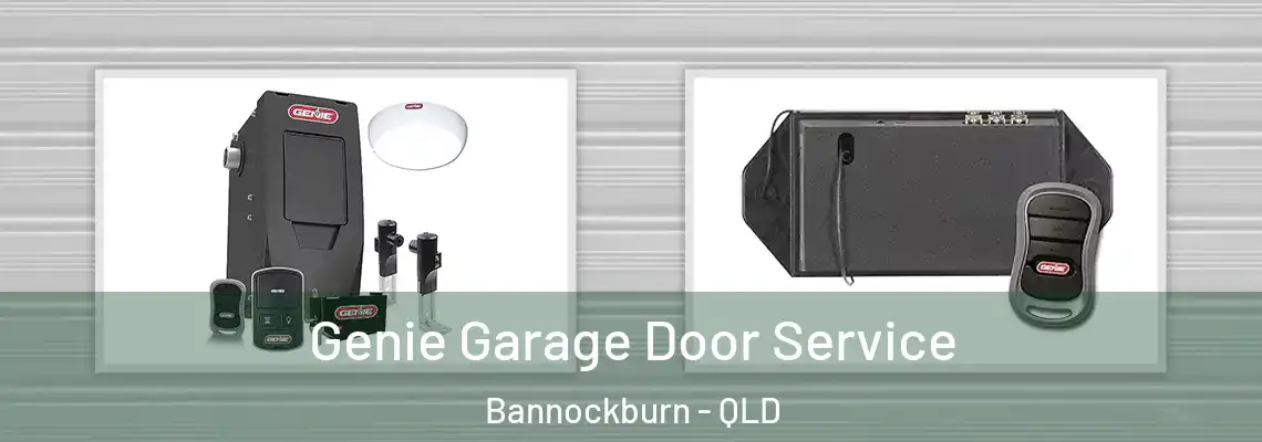 Genie Garage Door Service Bannockburn - QLD