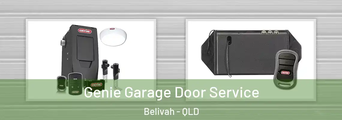Genie Garage Door Service Belivah - QLD
