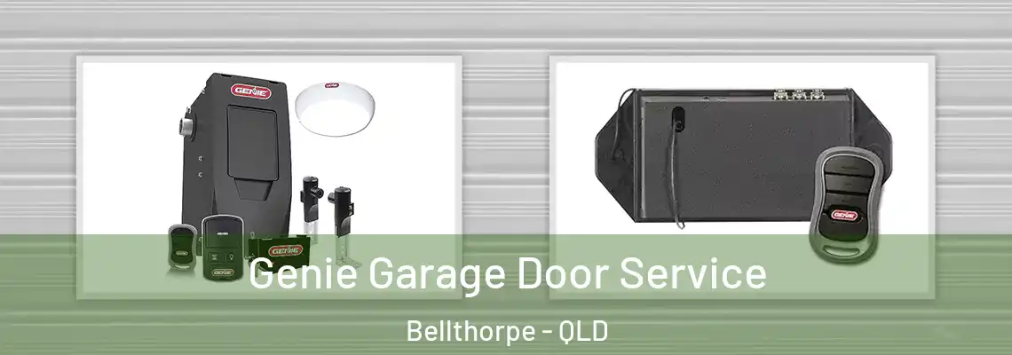 Genie Garage Door Service Bellthorpe - QLD