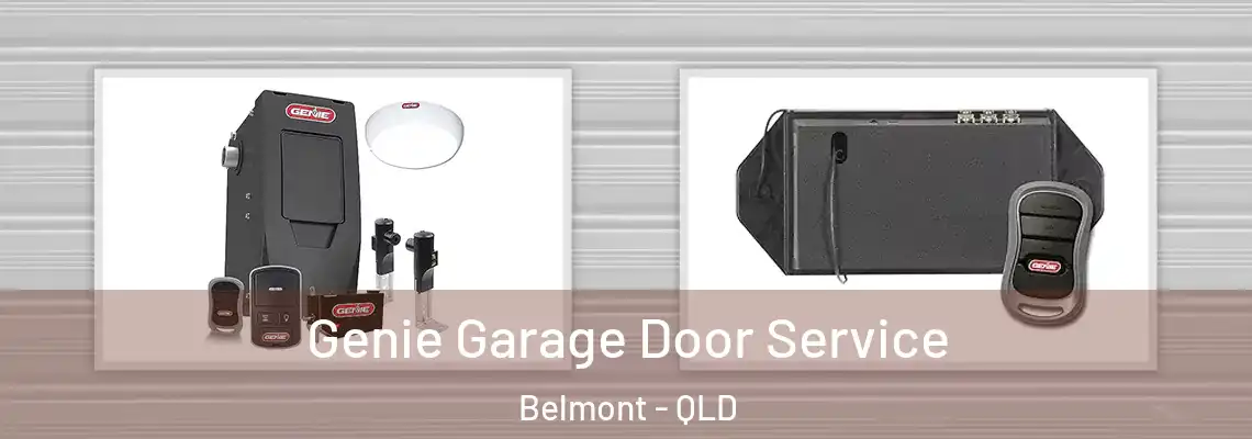Genie Garage Door Service Belmont - QLD