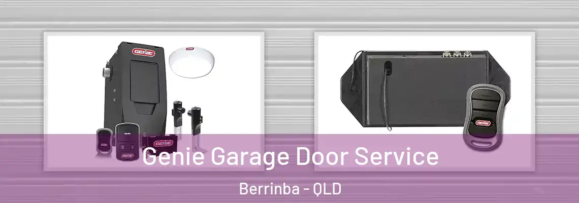 Genie Garage Door Service Berrinba - QLD