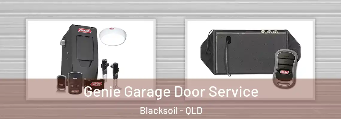 Genie Garage Door Service Blacksoil - QLD