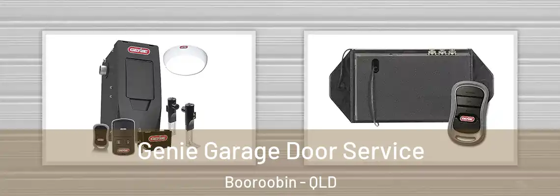 Genie Garage Door Service Booroobin - QLD