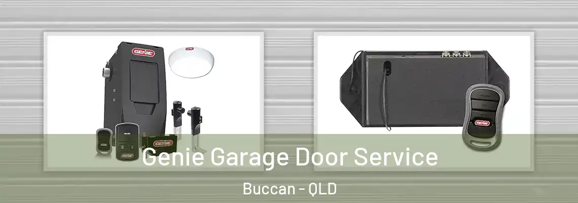 Genie Garage Door Service Buccan - QLD