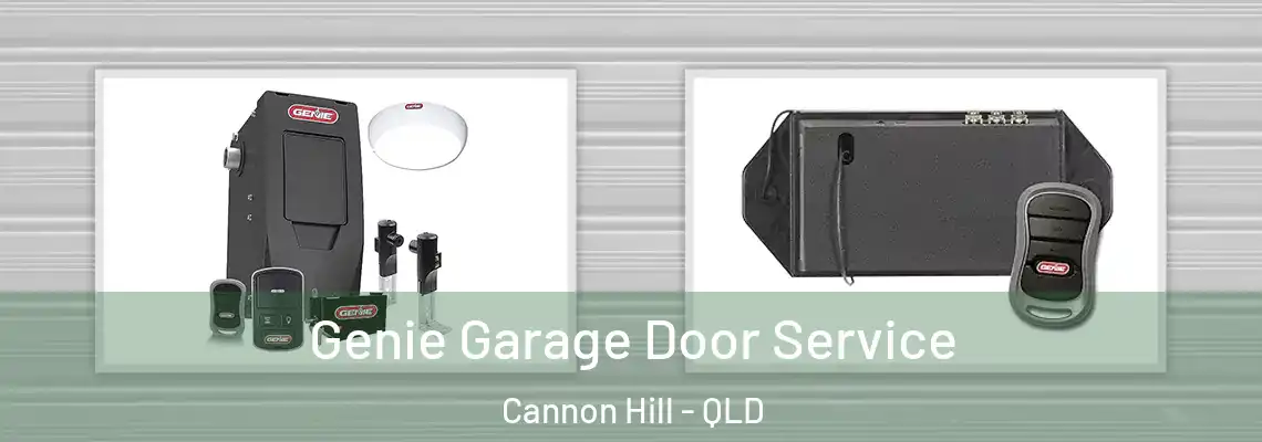 Genie Garage Door Service Cannon Hill - QLD