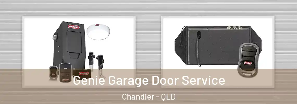  Genie Garage Door Service Chandler - QLD
