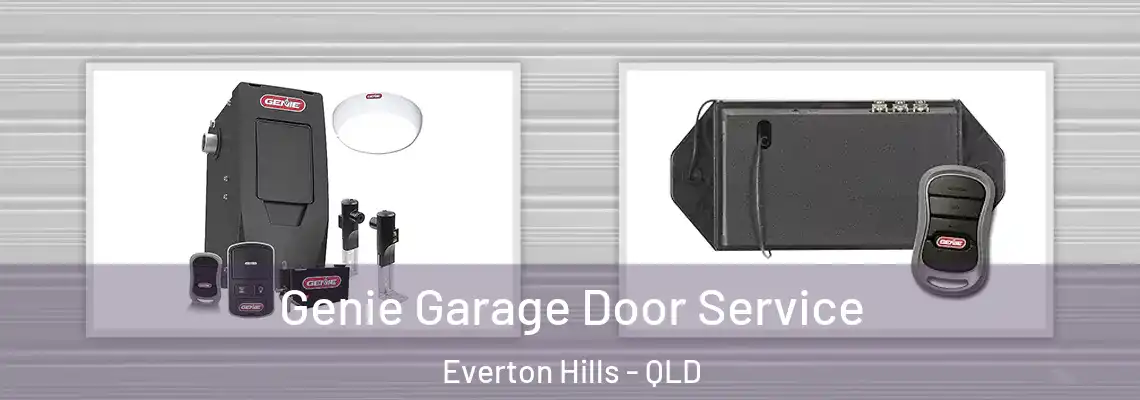 Genie Garage Door Service Everton Hills - QLD
