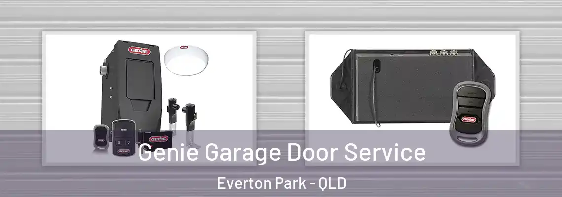 Genie Garage Door Service Everton Park - QLD