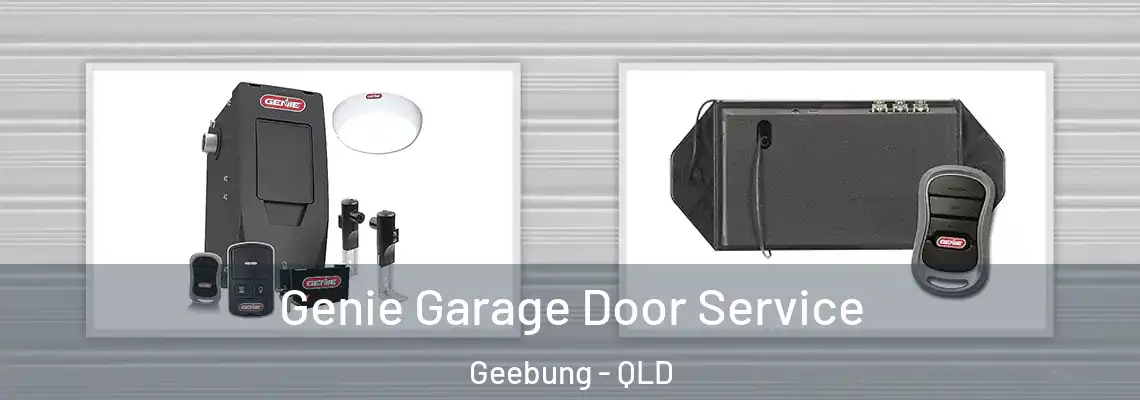 Genie Garage Door Service Geebung - QLD