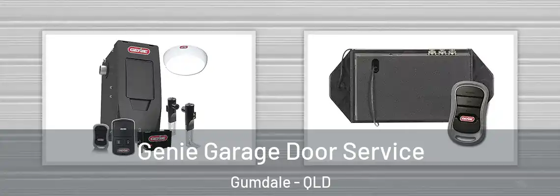 Genie Garage Door Service Gumdale - QLD