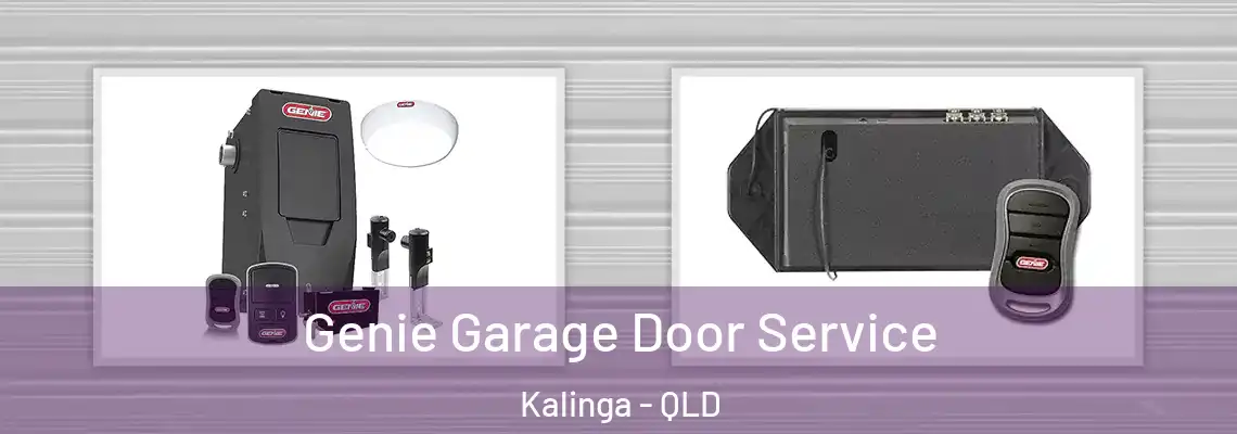 Genie Garage Door Service Kalinga - QLD