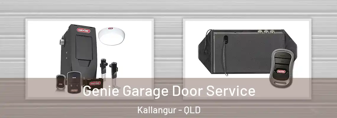 Genie Garage Door Service Kallangur - QLD