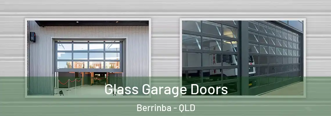 Glass Garage Doors Berrinba - QLD