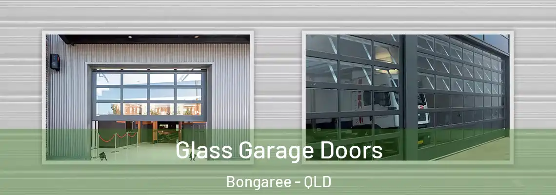 Glass Garage Doors Bongaree - QLD