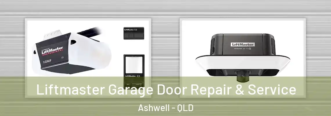 Liftmaster Garage Door Repair & Service Ashwell - QLD
