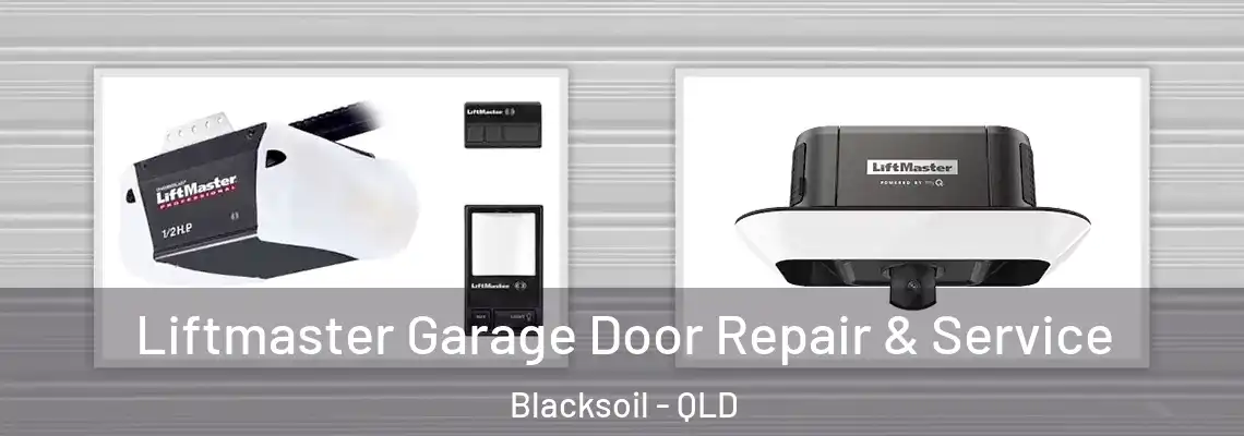Liftmaster Garage Door Repair & Service Blacksoil - QLD