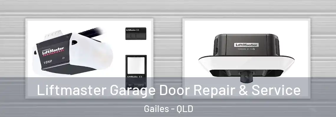 Liftmaster Garage Door Repair & Service Gailes - QLD
