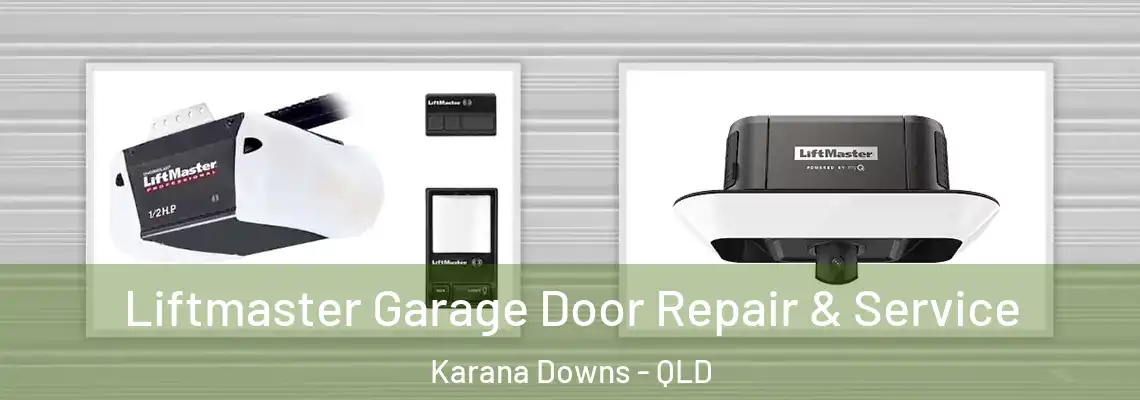 Liftmaster Garage Door Repair & Service Karana Downs - QLD