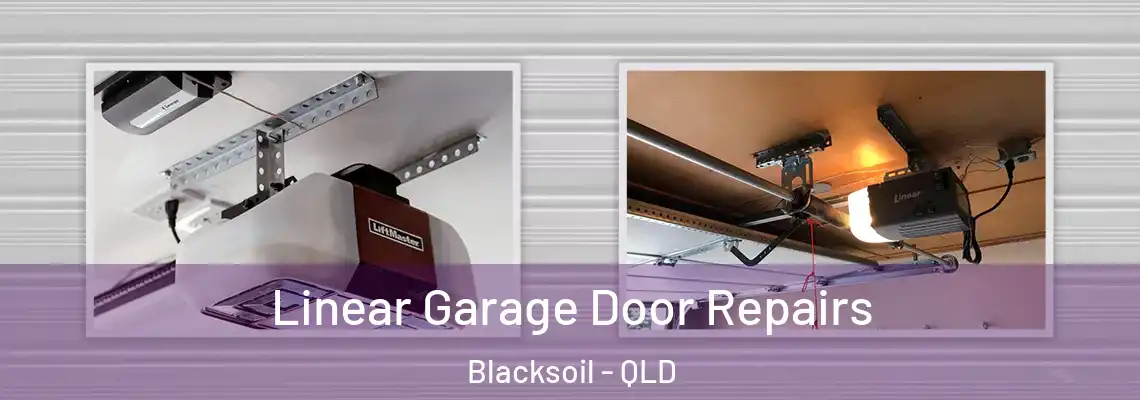 Linear Garage Door Repairs Blacksoil - QLD