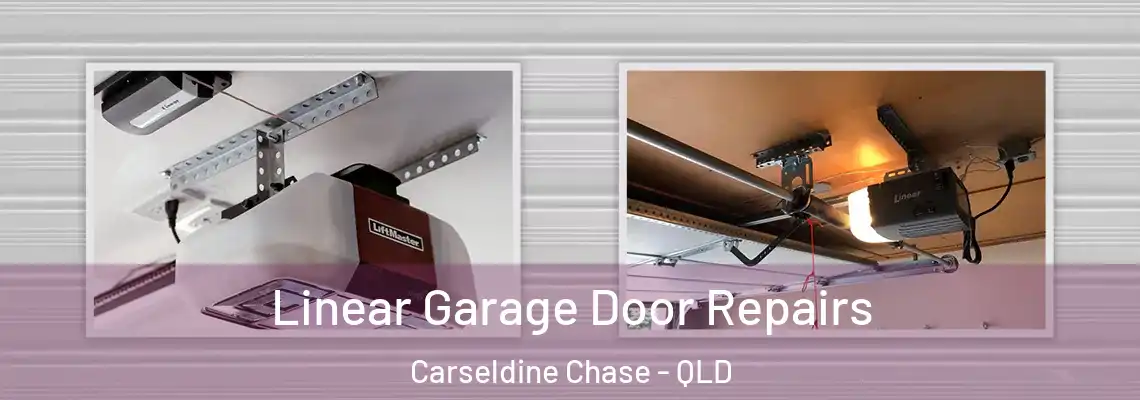 Linear Garage Door Repairs Carseldine Chase - QLD