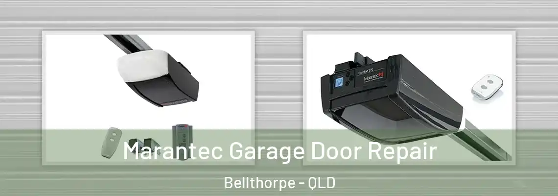Marantec Garage Door Repair Bellthorpe - QLD