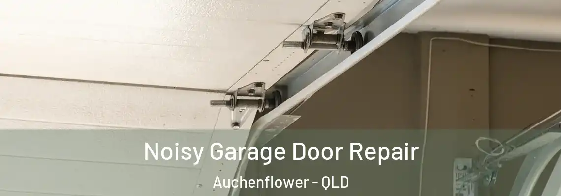 Noisy Garage Door Repair Auchenflower - QLD