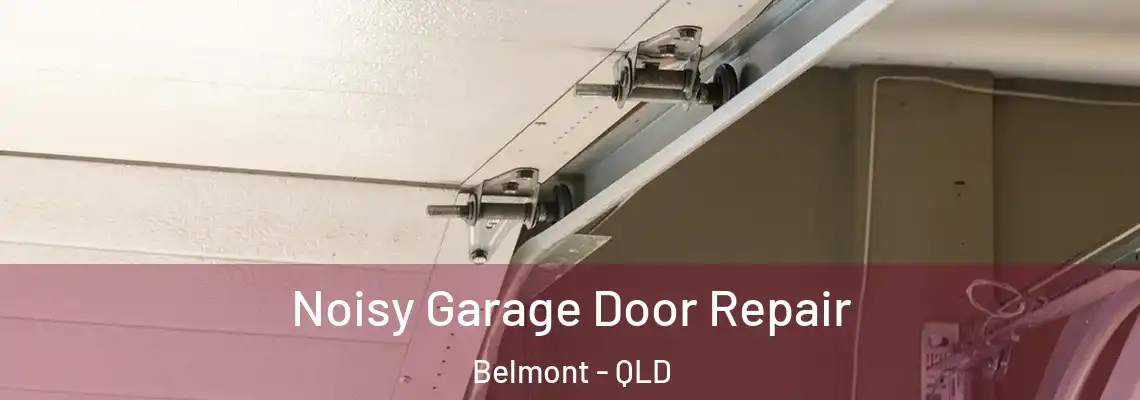  Noisy Garage Door Repair Belmont - QLD