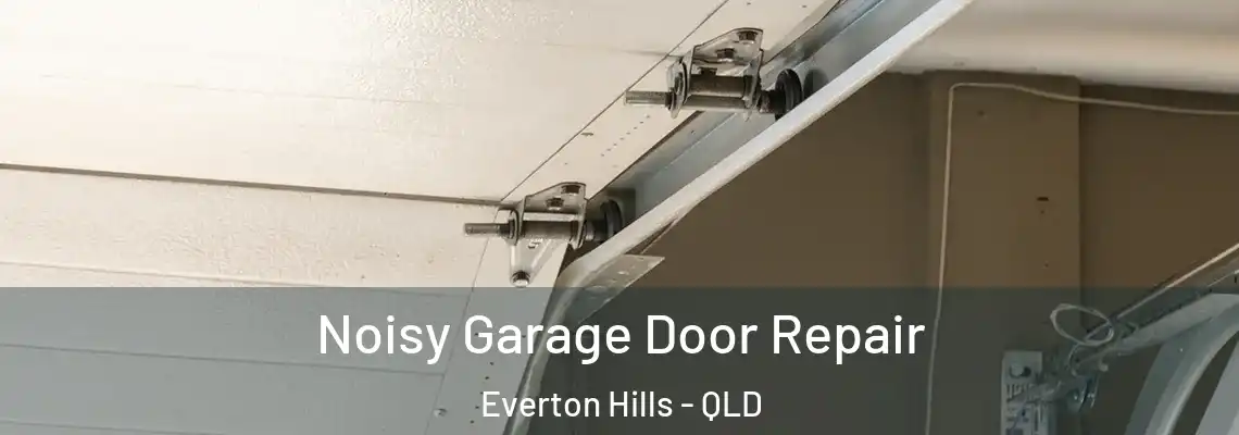 Noisy Garage Door Repair Everton Hills - QLD