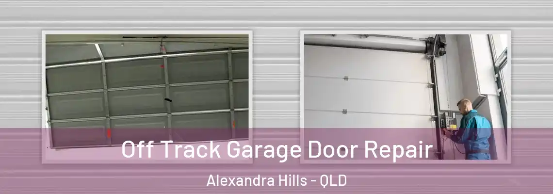 Off Track Garage Door Repair Alexandra Hills - QLD