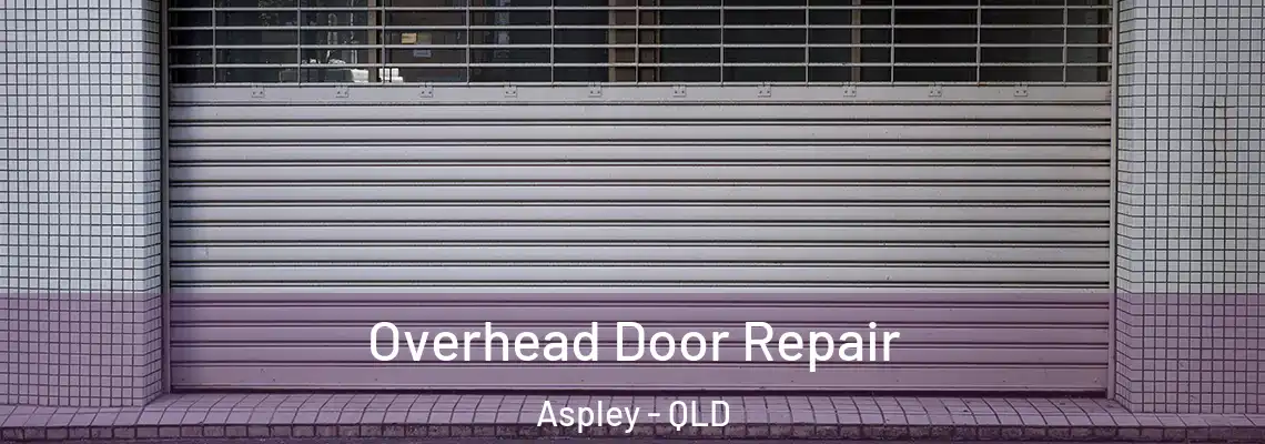  Overhead Door Repair Aspley - QLD