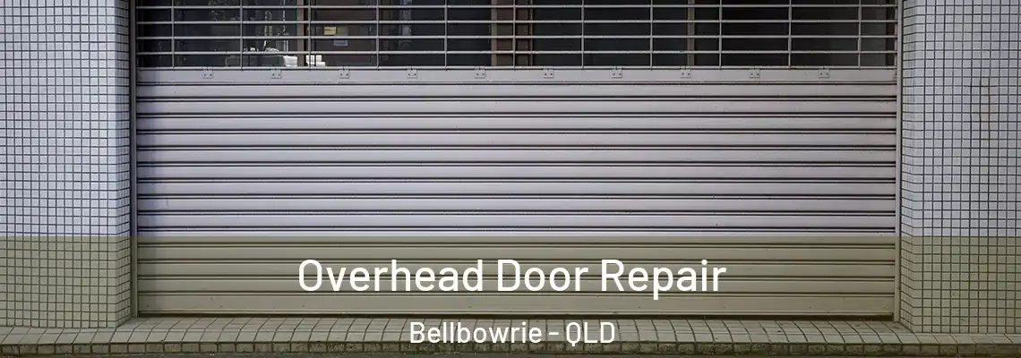Overhead Door Repair Bellbowrie - QLD