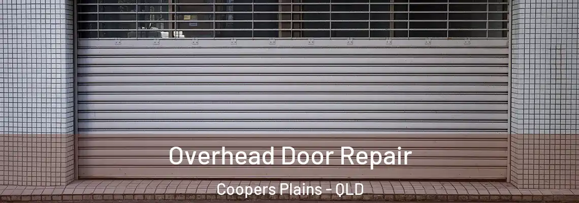Overhead Door Repair Coopers Plains - QLD