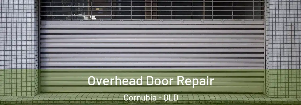 Overhead Door Repair Cornubia - QLD