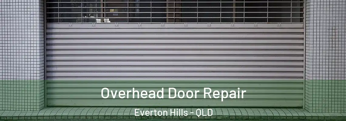 Overhead Door Repair Everton Hills - QLD