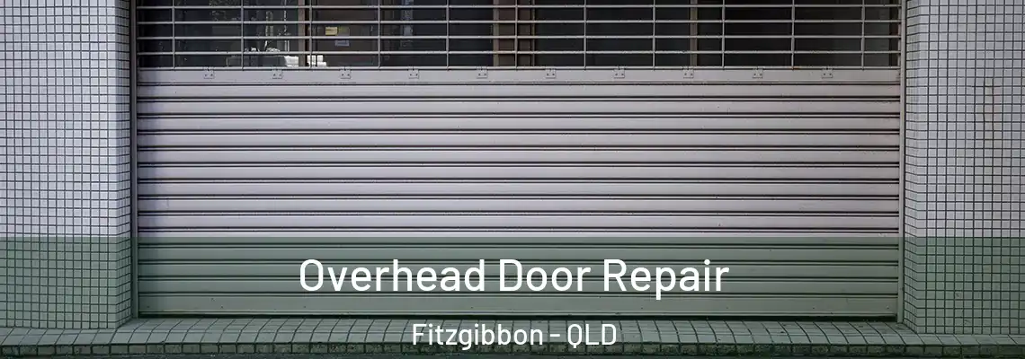 Overhead Door Repair Fitzgibbon - QLD