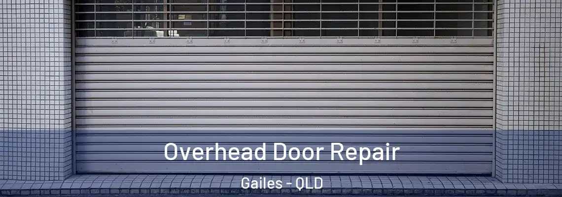 Overhead Door Repair Gailes - QLD