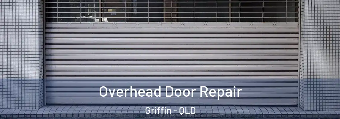 Overhead Door Repair Griffin - QLD