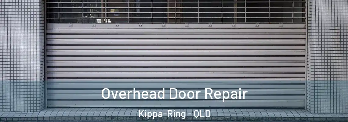 Overhead Door Repair Kippa-Ring - QLD