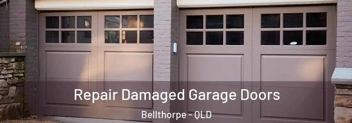 Repair Damaged Garage Doors Bellthorpe - QLD
