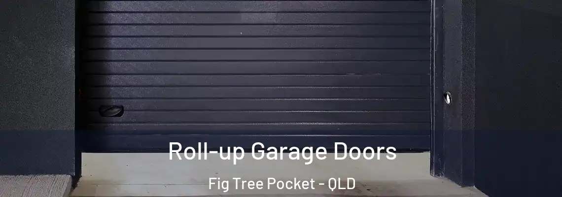  Roll-up Garage Doors Fig Tree Pocket - QLD