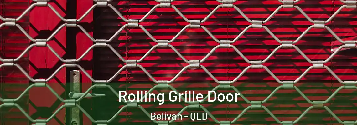 Rolling Grille Door Belivah - QLD