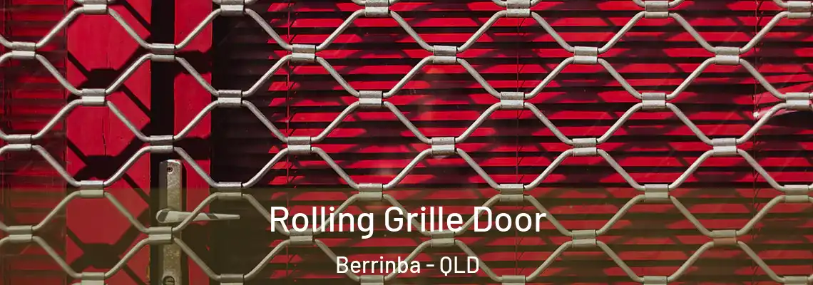 Rolling Grille Door Berrinba - QLD
